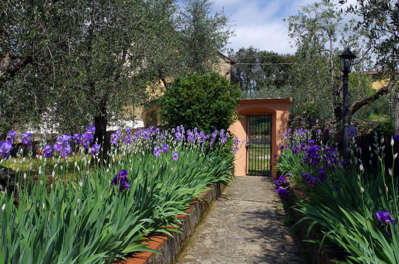 Villa Pacinotti Пистойя Экстерьер фото